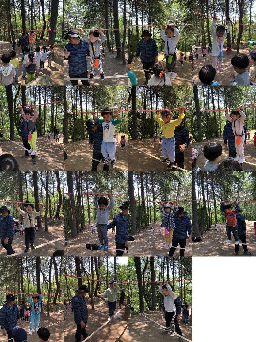 1dd8894dd83b28311069278561b64364_1557480951_9472.jpg