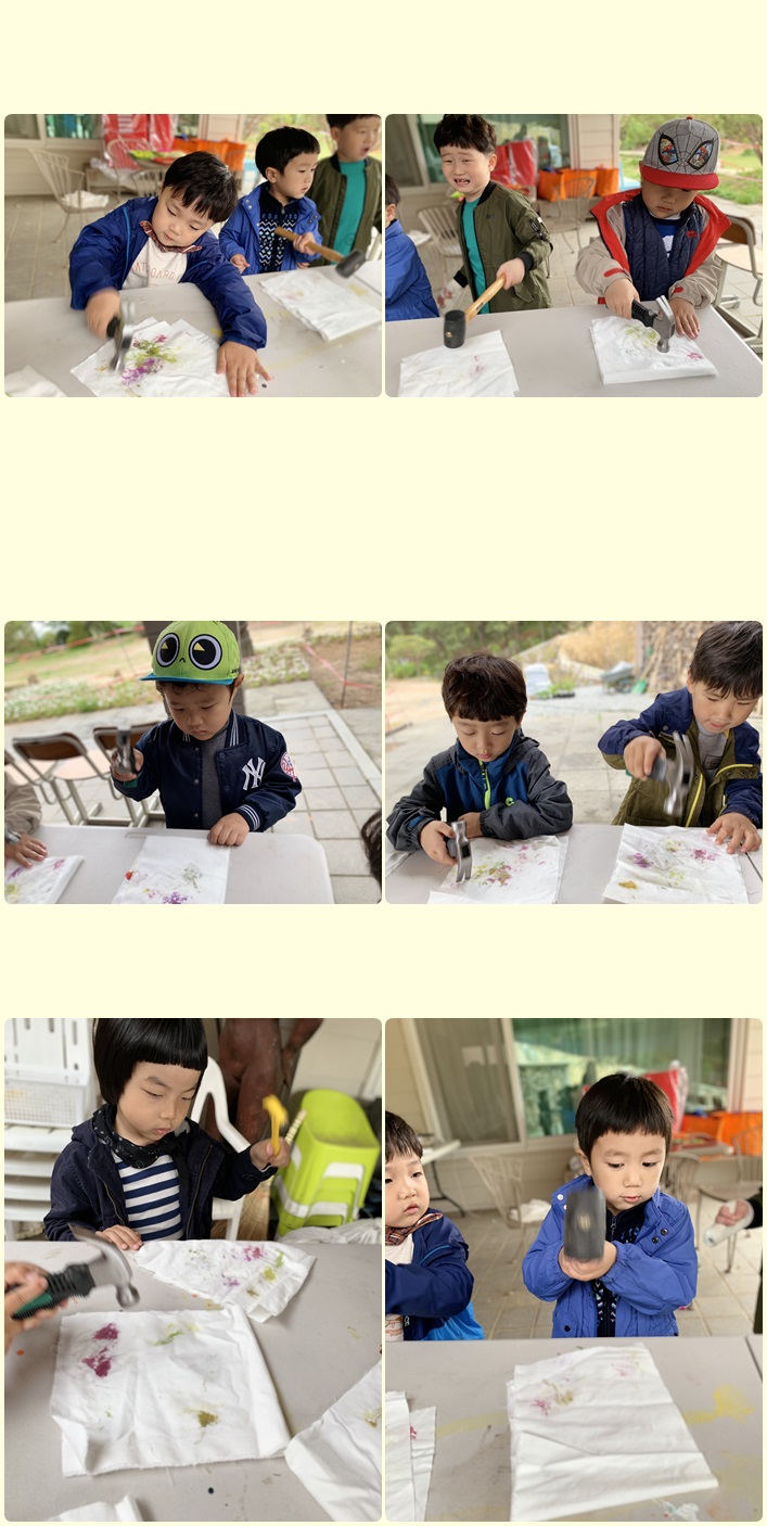 a686820eb64de694cc0b2b91fecc4815_1557227605_6784.jpg