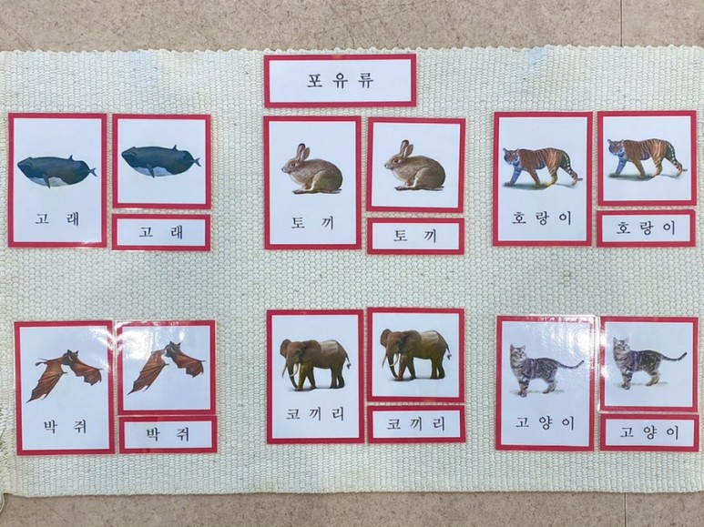 9e82e594497eb7b4f16e36e957015a76_1610698655_4005.jpg