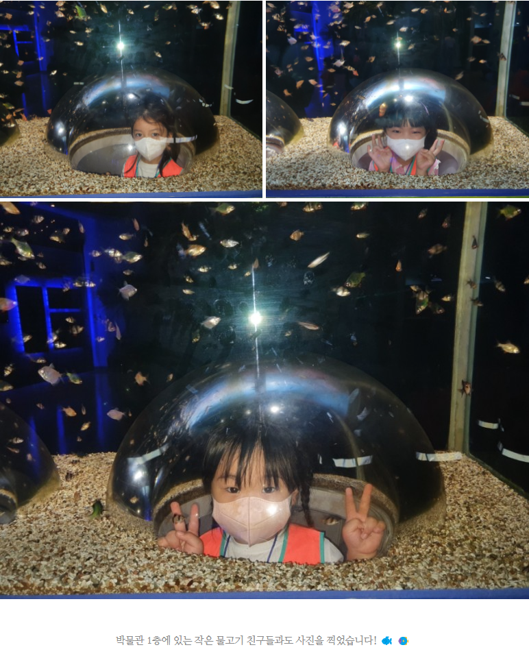 702d9cc583a28b91add130f958c31c8a_1658646815_4441.png