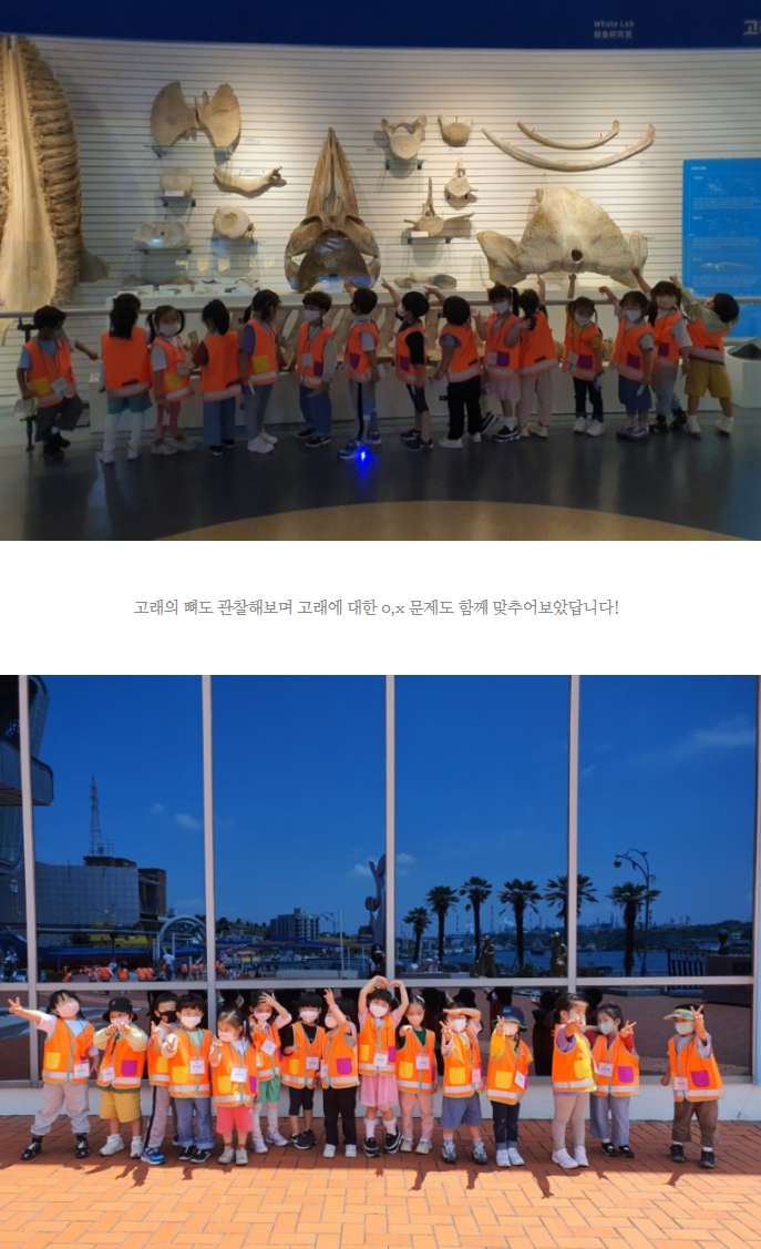 702d9cc583a28b91add130f958c31c8a_1658646833_5127.png